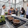 Plant Research 1